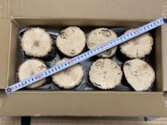 Item thumbnail for item a10d730a-98ca-41ac-9a38-e73cb5973105