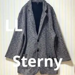 テーラードジャケット LL 美シルエット上品見え 羽織り大人カジュアル　大きめ