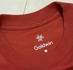 Goldwin ゴールドウィン メンズ Tシャツ S 紅葉色のサムネイル