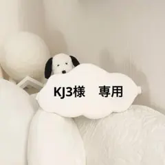 KJ3様　専用