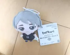ハイキュー!! ぬいぐるみーむ vol.3 ぬいぐるみ マスコット 宮治