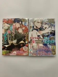 Item thumbnail for item 95e1b2e0-8247-4d4a-9e02-6605d9a467ca