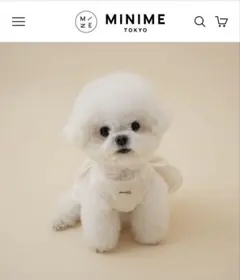 MINIME owww studio オーガニックピンタックドレス　犬　服