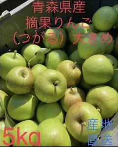 大特価限定セール　青森県産摘果りんご　ふじ.つがる、紅玉MIX　5kgのサムネイル