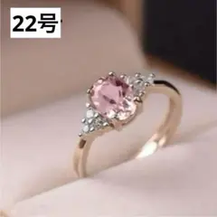 蒼巴 ☪︎ PFご一読下さい様 リクエスト 2点 まとめ商品