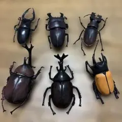 昆虫フィギュア 6体セット カブトムシ クワガタ