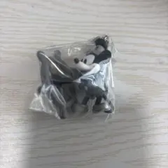 ディズニーキャラクター カラーコレクションチャーム ミッキー