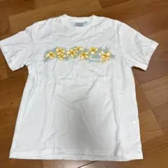piko Tシャツのサムネイル