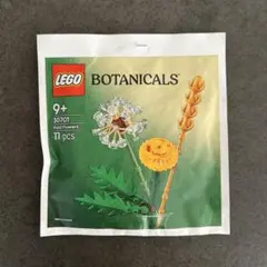 [新品未開封]LEGO レゴ 30701 ボタニカル フィールドフラワー 非売品
