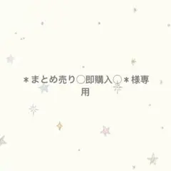 ＊まとめ売り◯即購入◯＊様専用
