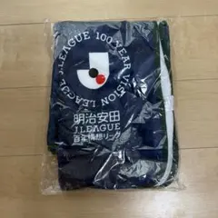 Jリーグ 熱狂開幕ブランケット アビスパ福岡 - メルカリ