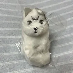 ハイキュー!! 北信介　キタキツネ　ぬいぐるみ