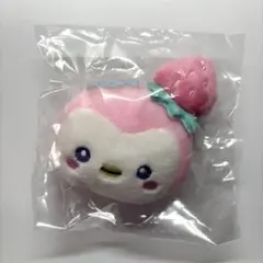 JOCHUM シークレットブローチ ぽぽ