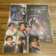 straykids チャンビン KARMA トレカ フライヤー まとめ売り