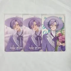 榊ネス ジューンブライド ジュンブラ カード チェキ