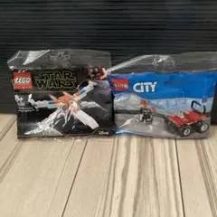 Item thumbnail for item 518a87d8-7ae0-4465-b497-91783f346313