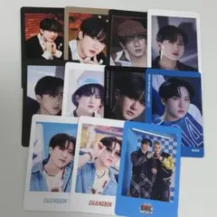 チャンビン フォトカードセット 11枚