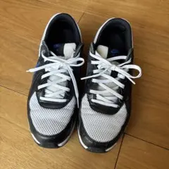 Nike Air Max スニーカー ブラック/ホワイト/ブルー　24.5㎝