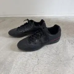 ミズノ(mizuno) monarcida neo 26cm