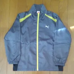 プーマ　子供用上下ウィンドウブレーカー