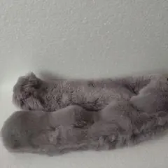 グレー ファー マフラー　未使用品。