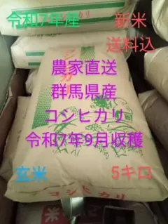 R7年産 新米 群馬県産 にじのきらめき 15キロ 玄米 送料込 15kg ④ R7年産 新米 群馬県産 にじのきらめき 5キロ 玄米 送料込 5kg ①