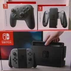 Nintendo Switch 本体(グレー)、プロコン、充電グリップ セット