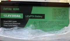 2026年最新】lifepo4 100ahの人気アイテム - メルカリ