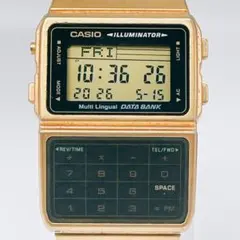 CASIO デジタル腕時計 データバンク 本体 コグニットシェマ シャチ