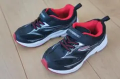 Item thumbnail for item 7f041ec8-6265-40c9-9981-8d2b0a6fd62b