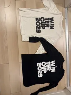 Item thumbnail for item 57aac601-a775-4d7d-835d-47c3eb220d04