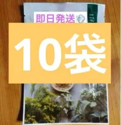 Item thumbnail for item f96923be-0889-4d7b-8c60-1529849dac30