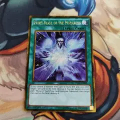 遊戯王　帝王の凍気　英語版　ゴルシク　1枚