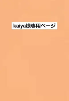 kaiya様専用出品