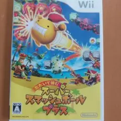 たたいて弾む スーパースマッシュボール・プラス
