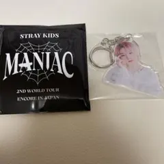 アイエン　イエニ　スキズ　アクキー　フォトキーホルダー　straykids