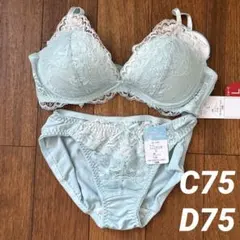 【新品】ブラ&ショーツセットアップ　水色　フェミニン花柄レース　ノンワイヤー　L
