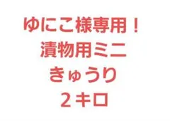 ゆにこ様専用！漬物用ミニきゅうり２キロ