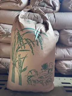 【にじのきらめき】令和７年度産　玄米30kg 大阪府産　送料込みのサムネイル