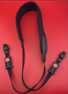 Item thumbnail for item c3308522-b482-40f7-b49f-7ee0be5e3875