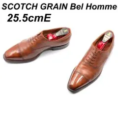 SCOTCH GRAIN ベルオム 25.5cmE 756 ストレートチップ 茶のサムネイル