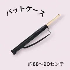 Item thumbnail for item 1f6b6950-69c7-4c1c-92c1-da5aba4119c6