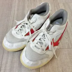 体育館シューズ 体育器具