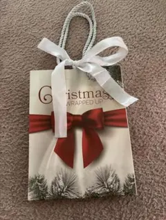 クリスマス ギフトバッグ ショッパー　紙袋　白リボン付き