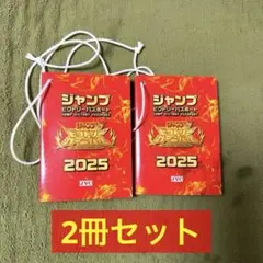 ジャンプビクトリーカーニバル2025 パスポート 2セット 来場者記念品｜ジャンプビクトリーカーニバル 2025