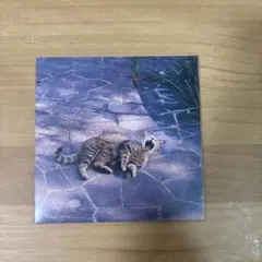 2026年最新】the奥歯's 風になれたらの人気アイテム - メルカリ