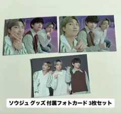 BTS SOWOOZOO ソウジュ グッズ フォトカード RM テテ グク 3枚