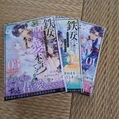 鉄の女だと嫌われていたのに、冷徹公爵にループ前から溺愛されて～　１～３巻セット