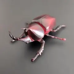 チョコエッグ チョコQ カブトムシ オオクワガタ 蛹 ミヤマクワガタ