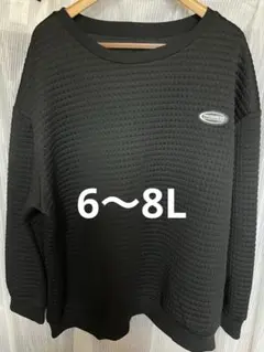 8l